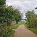 brown pathway between green grass and trees under white clouds and blue sky during daytime
